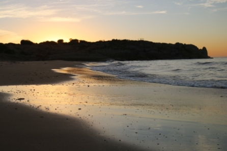 Beach dawn